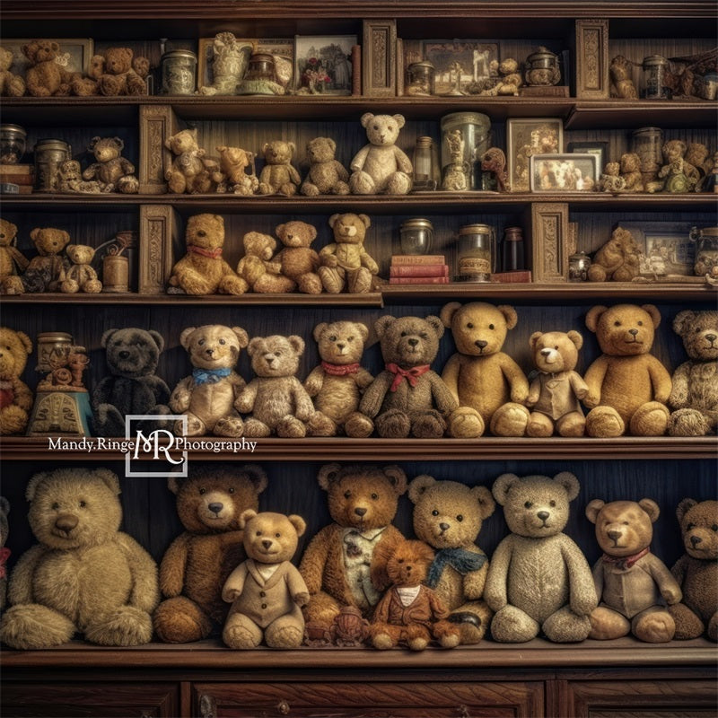 Kate Teddy Bear Shelves Backdrop Designed by Mandy Ringe Photography