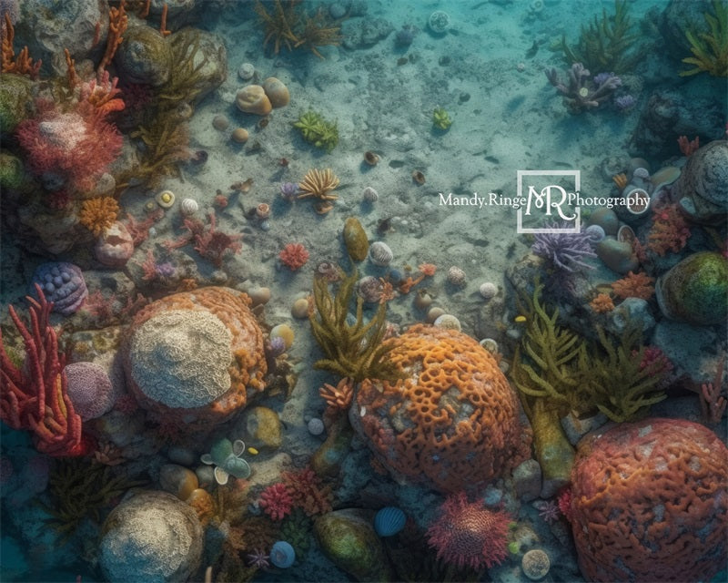 Kate Summer Underwater Ocean Scene Floor Backdrop Designed by Mandy Ringe Photography