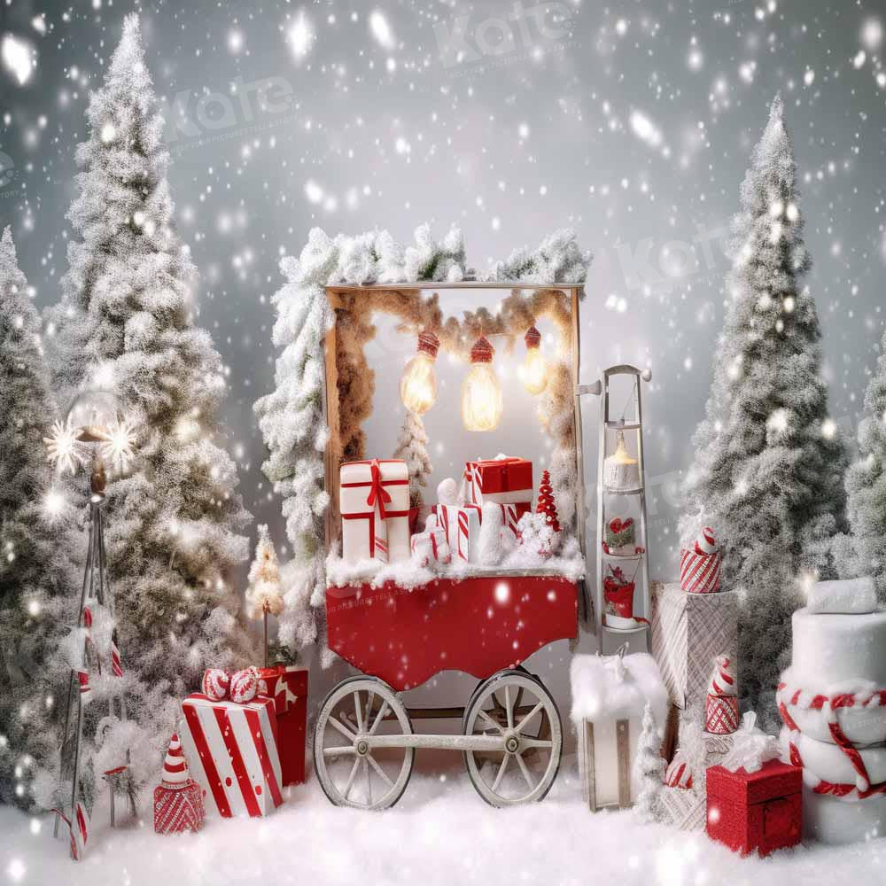 RTS Kate Christmas Winter Gift Boxes Trolley Snow Backdrop Designed by Chain Photography