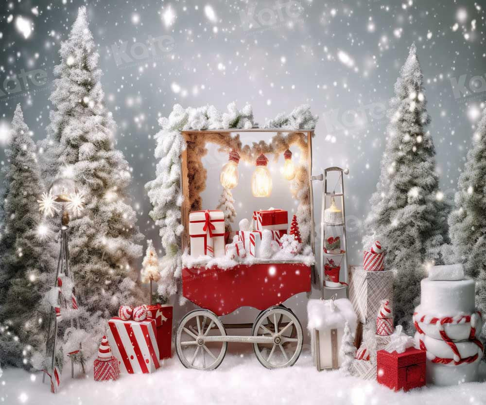 Kate Christmas Winter Gift Boxes Trolley Snow Backdrop Designed by Chain Photography