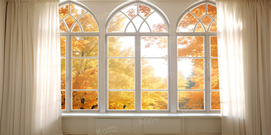 Elegant Autumn Sunlit Window Backdrop