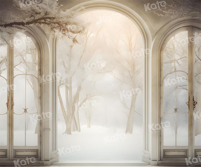 Winter Snowy Tree Path Window Backdrop voor Fotografie