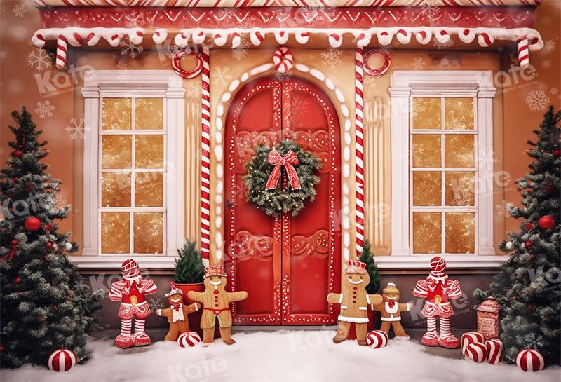 Kate Christmas Gingerbread House Outdoor Snow Backdrop for Photography