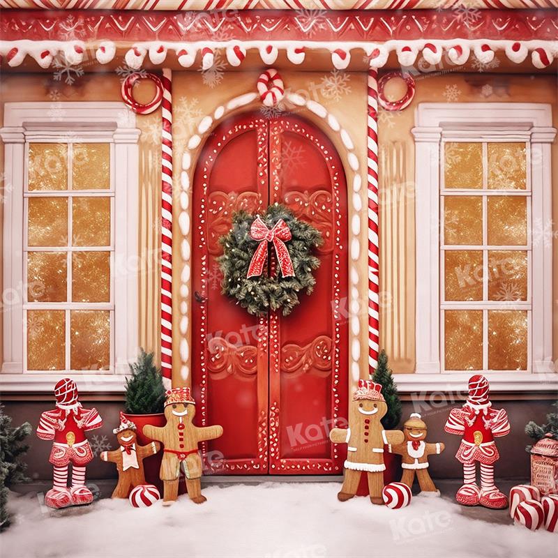 Kate Christmas Gingerbread House Outdoor Snow Backdrop for Photography