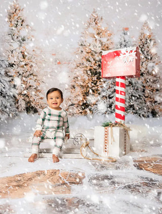 Kate Christmas Trees Snowy Garden Wall Printed Backdrop for Photography