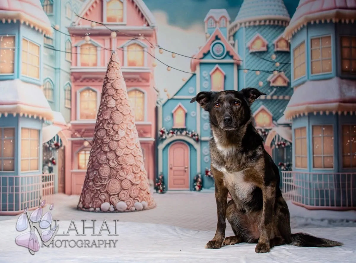 Kate Christmas Candy World House Backdrop for Photography