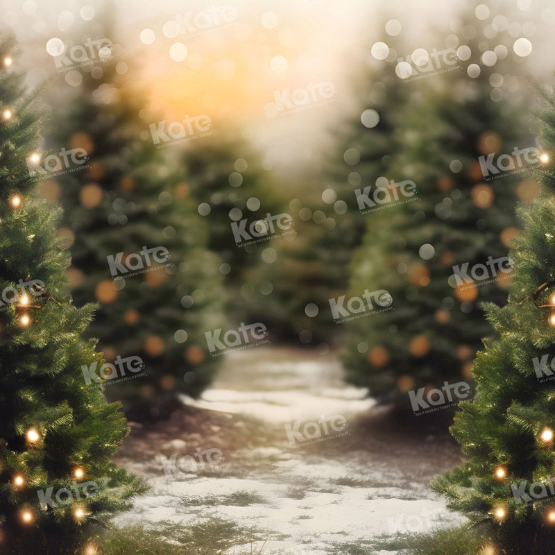 RTS Kate Christmas Outdoor Tree Bokeh Light Backdrop for Photography