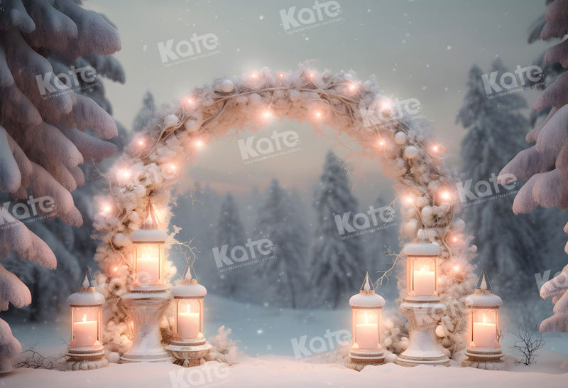 Kate Christmas Arch Outdoor Snow Light Backdrop for Photography