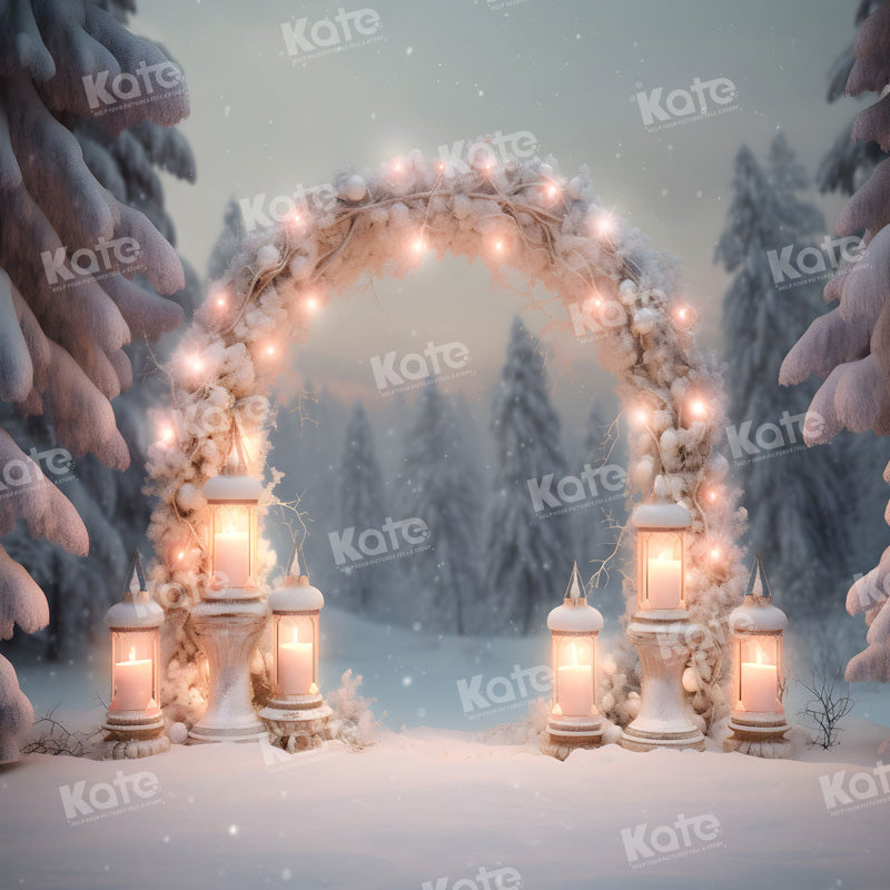 Kate Christmas Arch Outdoor Snow Light Backdrop for Photography