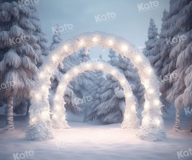 Kate Winter Night Snow Outdoor Arch Backdrop for Photography