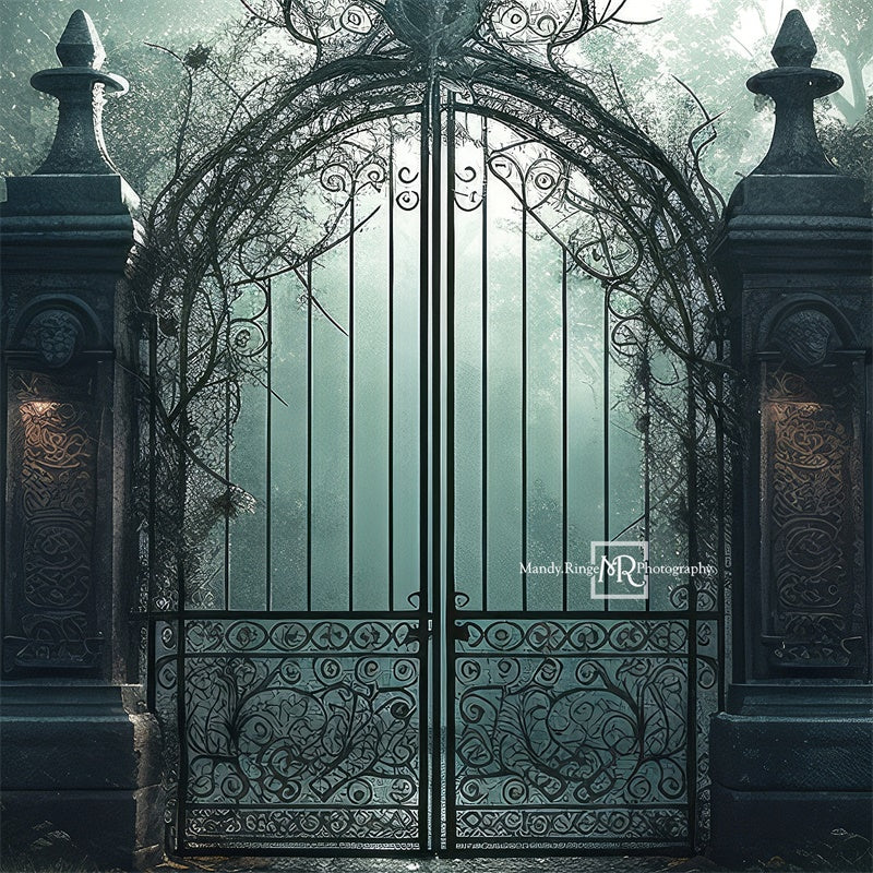 Kate Cemetary Gate at Night Backdrop Designed by Mandy Ringe Photography