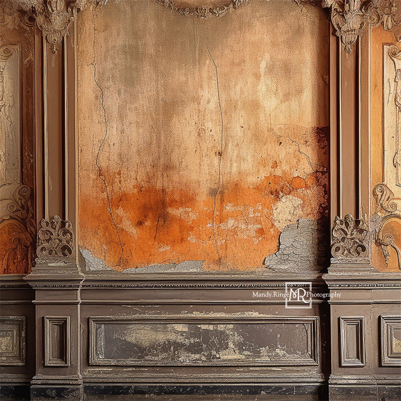 Kate Distressed Victorian Wall with Autumn Colors Backdrop Designed by Mandy Ringe Photography