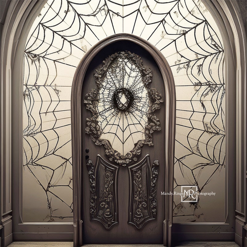 Kate Spooky Spiderweb Door Backdrop Designed by Mandy Ringe Photography