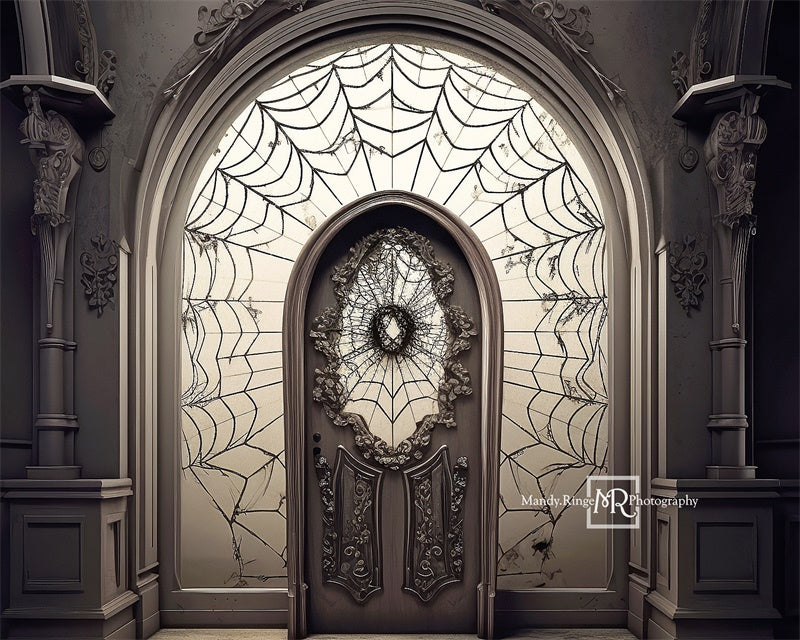 Kate Spooky Spiderweb Door Backdrop Designed by Mandy Ringe Photography