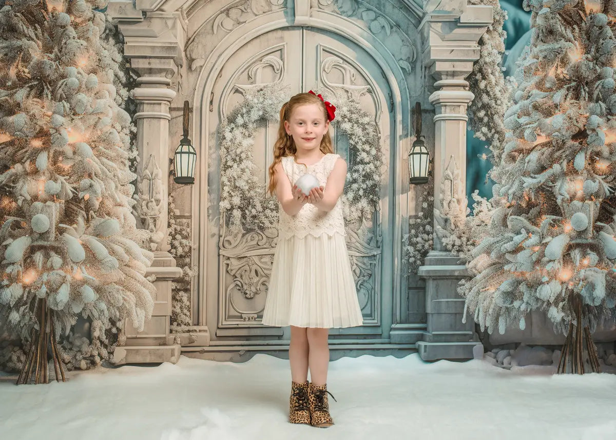 Kate Winter Christmas Snowy Frosted White Door Tree Backdrop for Photography