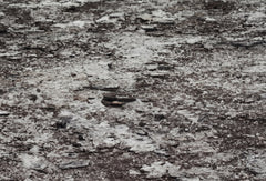 Kate Winter Land with Snow Floor Printed Backdrop for Photography