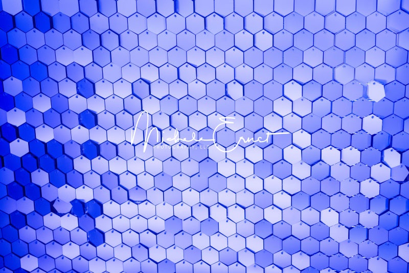 Kate Blue Hexagons Backdrop Designed By Michele Ernst Photography