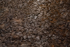 Kate Brown Stone Floor Printed Backdrop Designed by Chain Photography