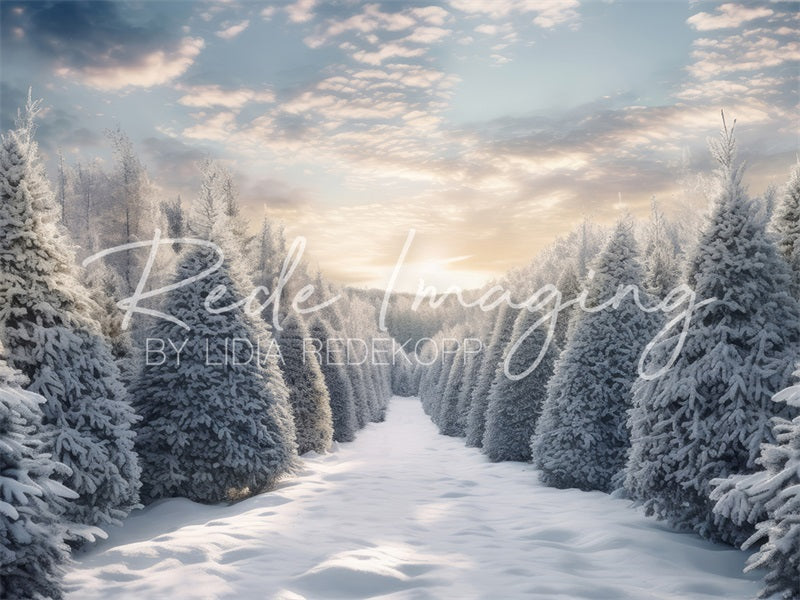 Kate Winter Frosty Forest Backdrop Designed by Lidia Redekopp