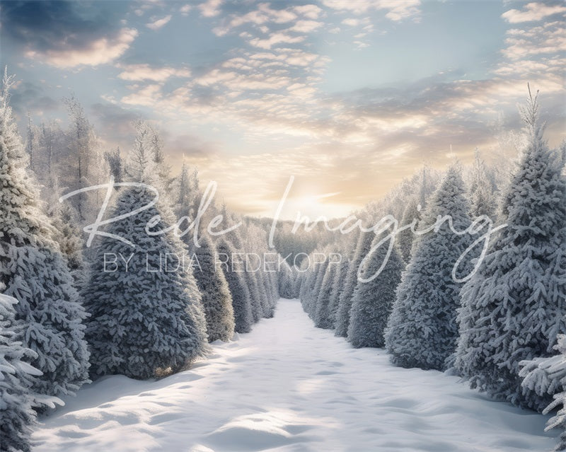 Kate Winter Frosty Forest Backdrop Designed by Lidia Redekopp
