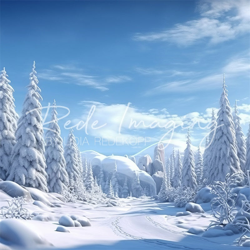 Kate Winter Frost Wonderland Backdrop Designed by Lidia Redekopp
