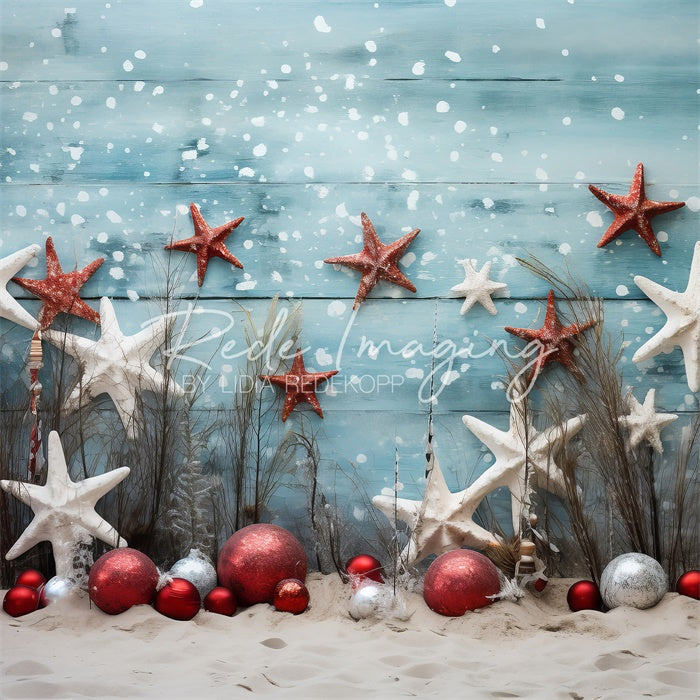 Kate Starfish & Snow Beach Christmas Backdrop Designed by Lidia Redekopp
