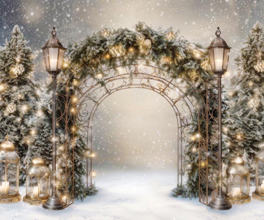 Kate Winter Christmas Branch Arch Backdrop Designed by Emetselch