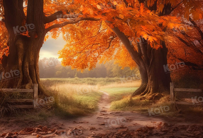 Golden Autumn Forest Pathway Backdrop