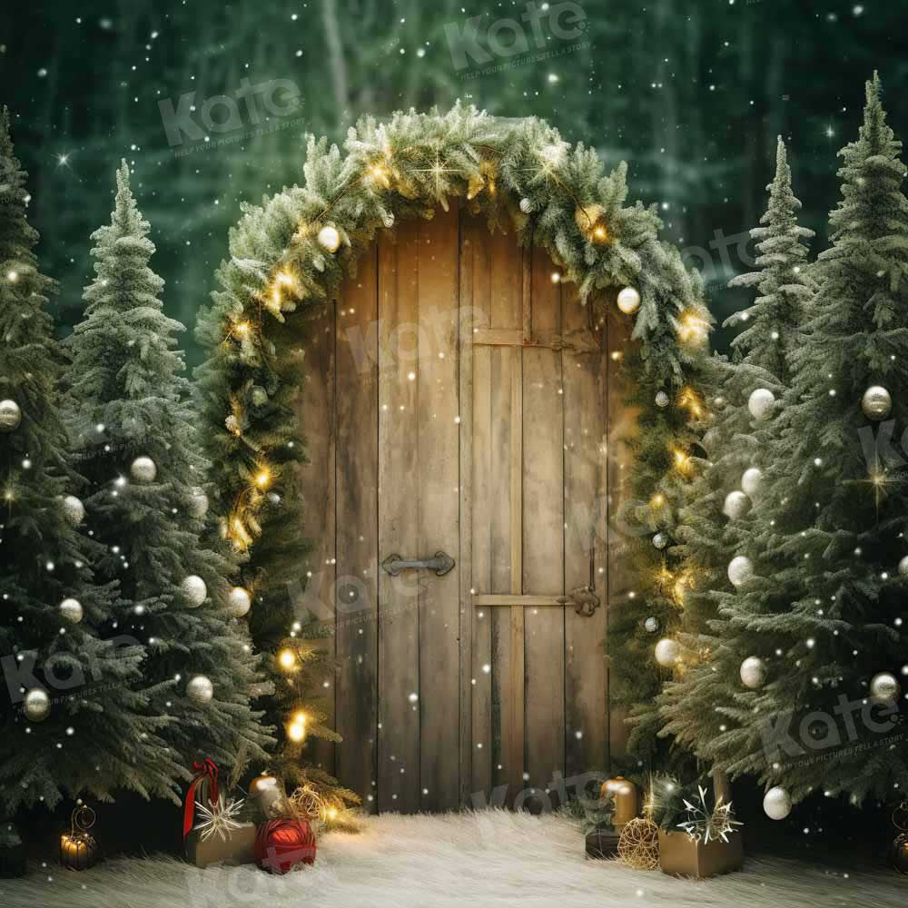 Kate Christmas Green Barn Door Backdrop Designed by Chain Photography