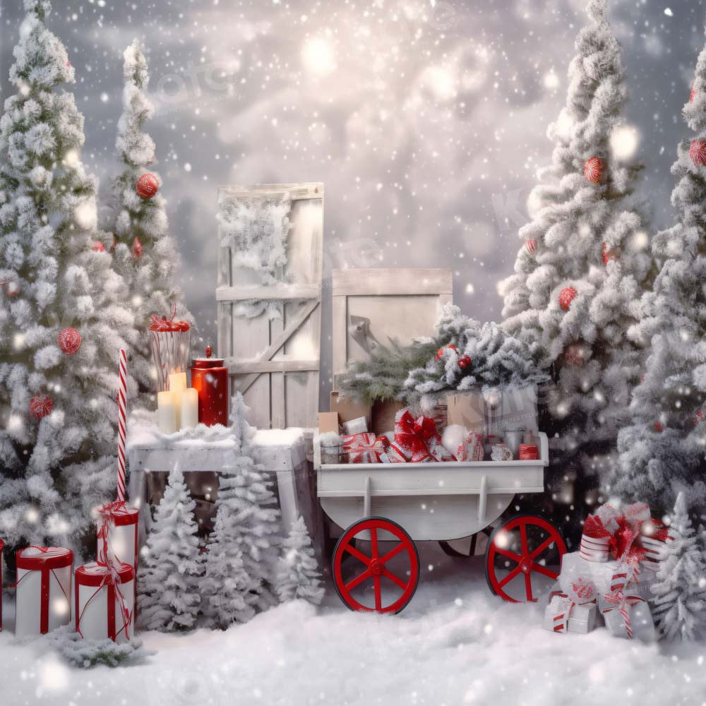 Kate Christmas Winter Outdoor Wonderland Backdrop Designed by Emetselch