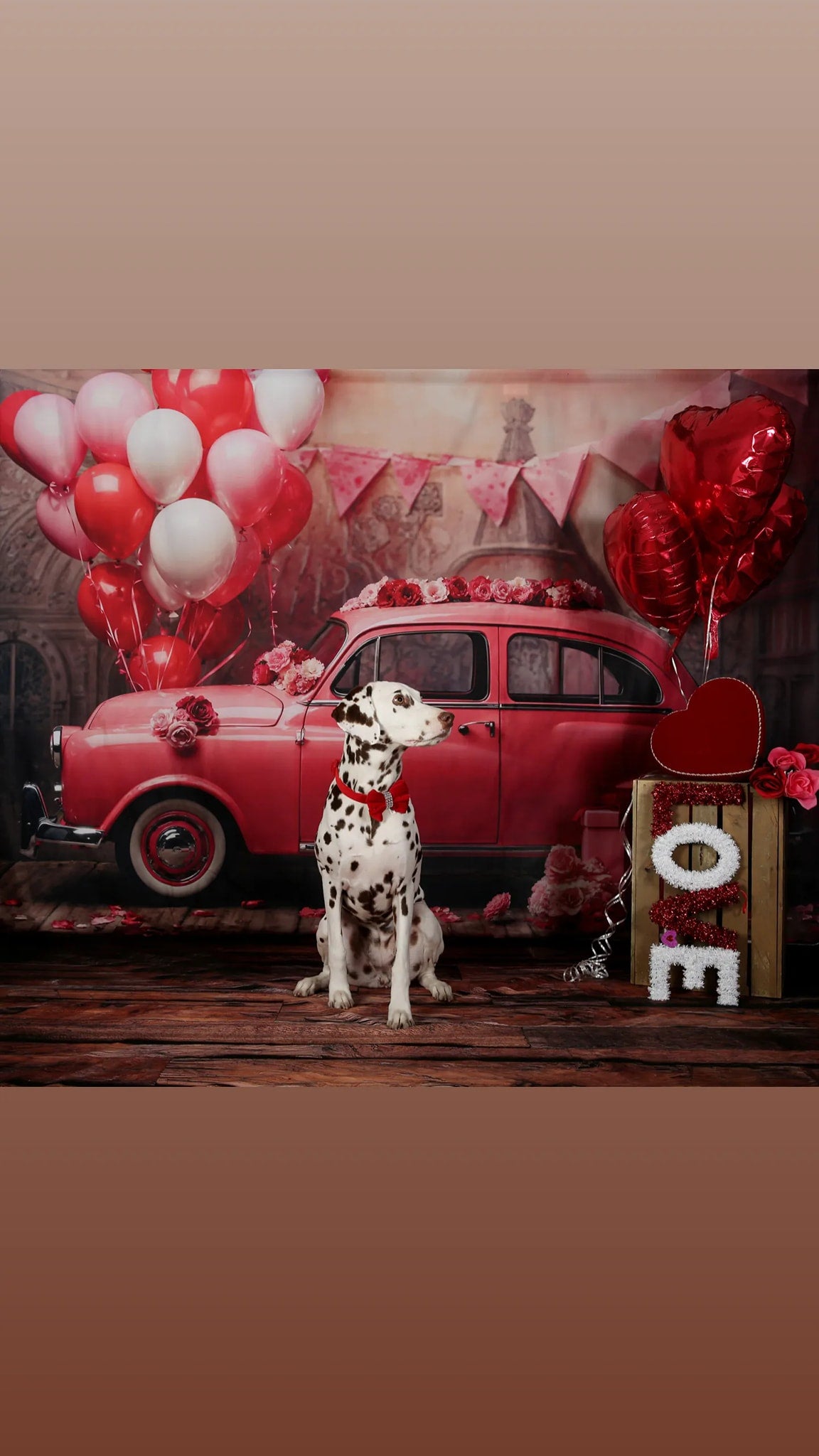 Kate Pet Valentine's Day Pink Car Balloon Backdrop Designed by Emetselch