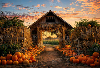 Kate Fall Pumpkin Farm Printed Backdrop for Photography
