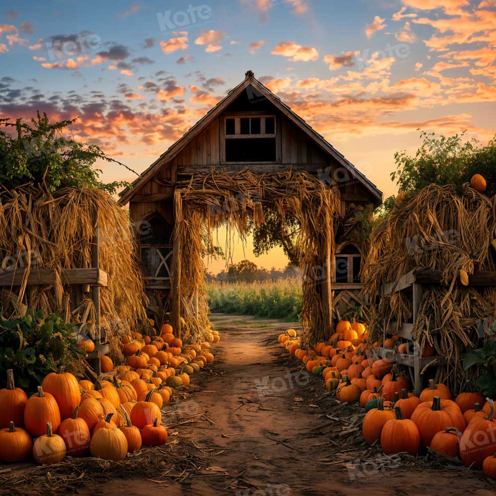 Kate Autumn/Fall Pumpkin Farm Backdrop for Photography