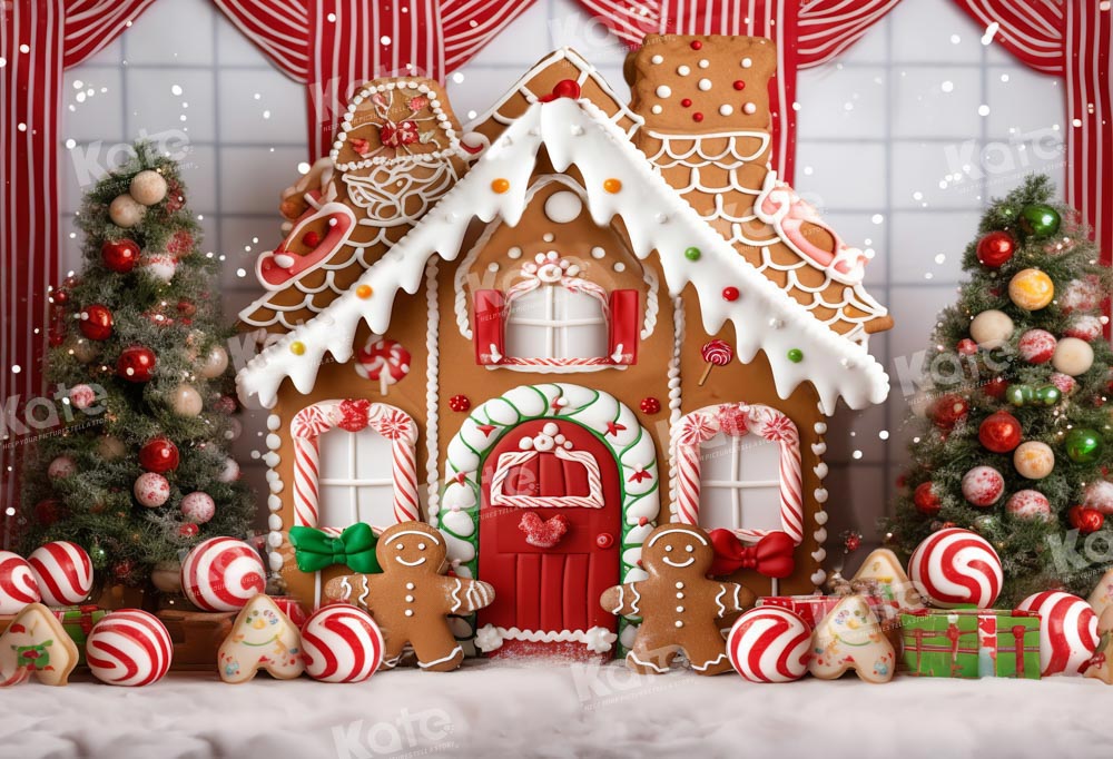 Kate Christmas Gingerbread House Candy Cookie Backdrop Designed by Chain Photography