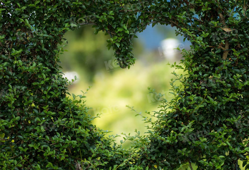 Kate Valentine's Day Love Hole Bokeh Green Backdrop for Photography