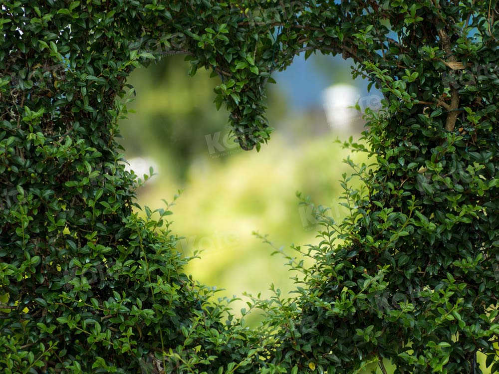 Kate Valentine's Day Love Hole Bokeh Green Backdrop for Photography