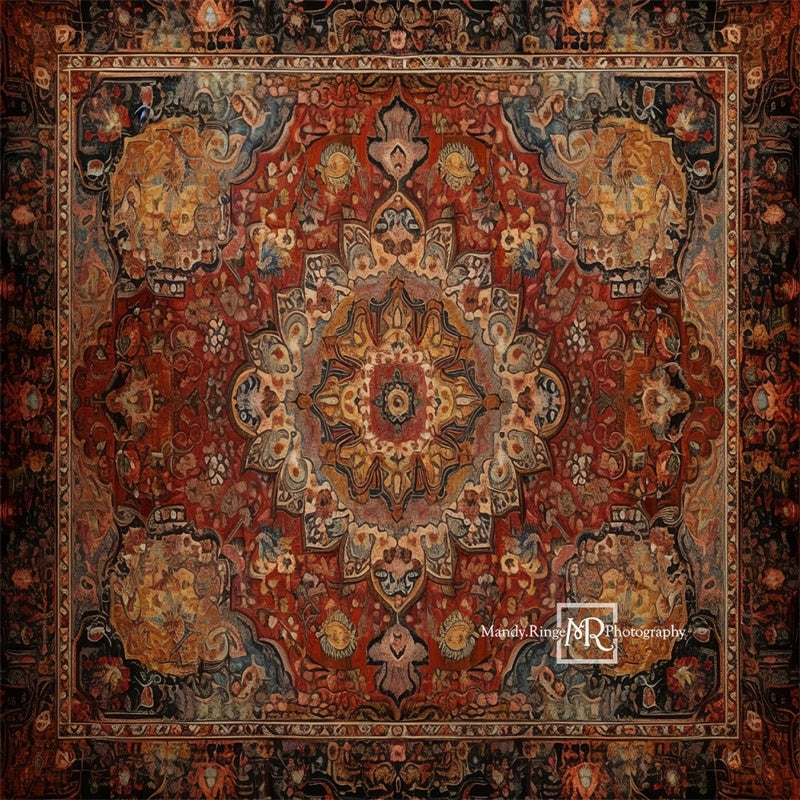 Kate Colorful Oriental Rug Backdrop Designed by Mandy Ringe Photography