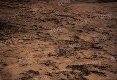 Kate Soil Sand Floor Printed Backdrop for Photography