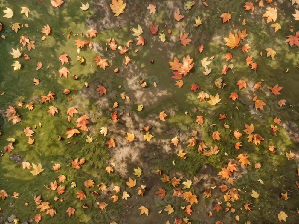 Kate Autumn Deciduous Meadow Floor Backdrop Designed by Kate Image