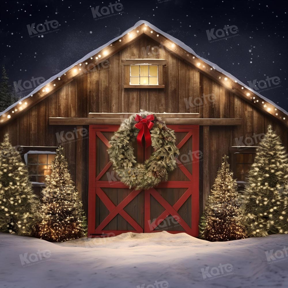 Kate Christmas Outdoor Snow House Backdrop for Photography