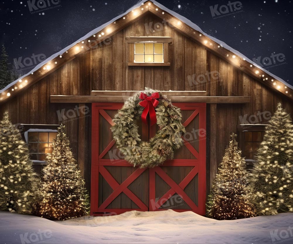 Kate Christmas Outdoor Snow House Backdrop for Photography