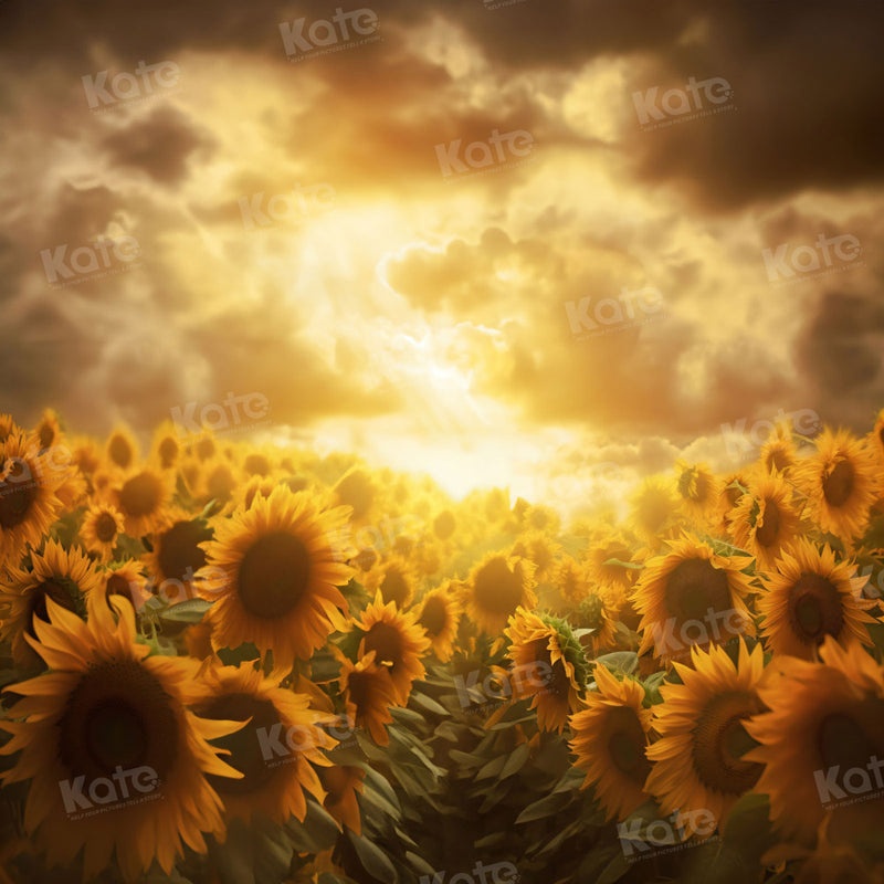 Sun Backdrop Golden Sunset Sunflower Field Backdrop