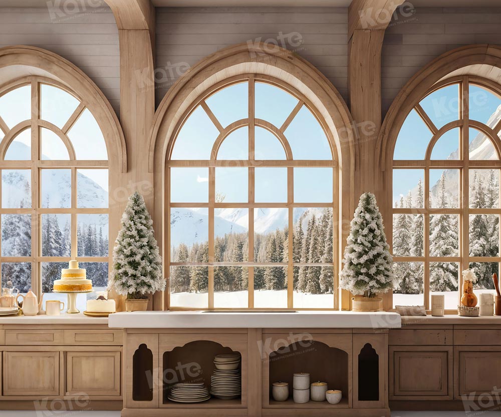Kate Christmas Snow Windows Backdrop for Photography