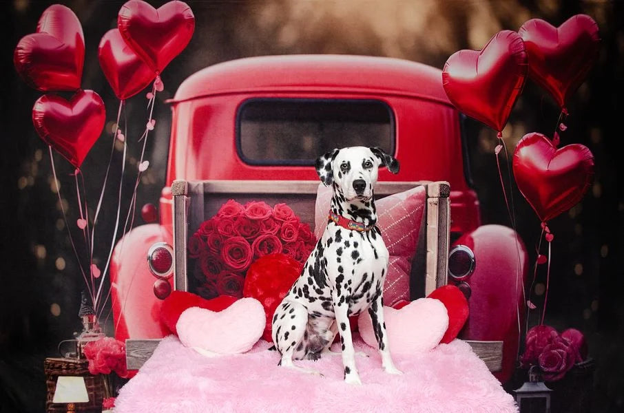 Kate Valentine's Day Love Balloon Truck Fleece Backdrop Designed by Chain Photography