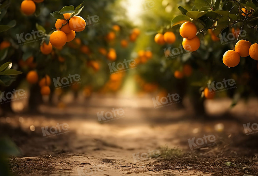 Kate Fall Orange Orchard Path Backdrop Designed by Chain Photography