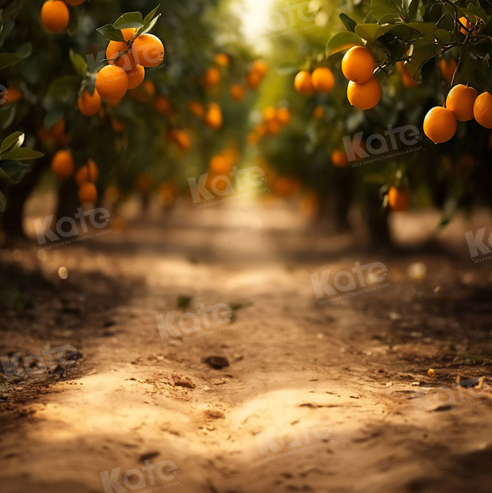Kate Fall Orange Orchard Path Backdrop Designed by Chain Photography
