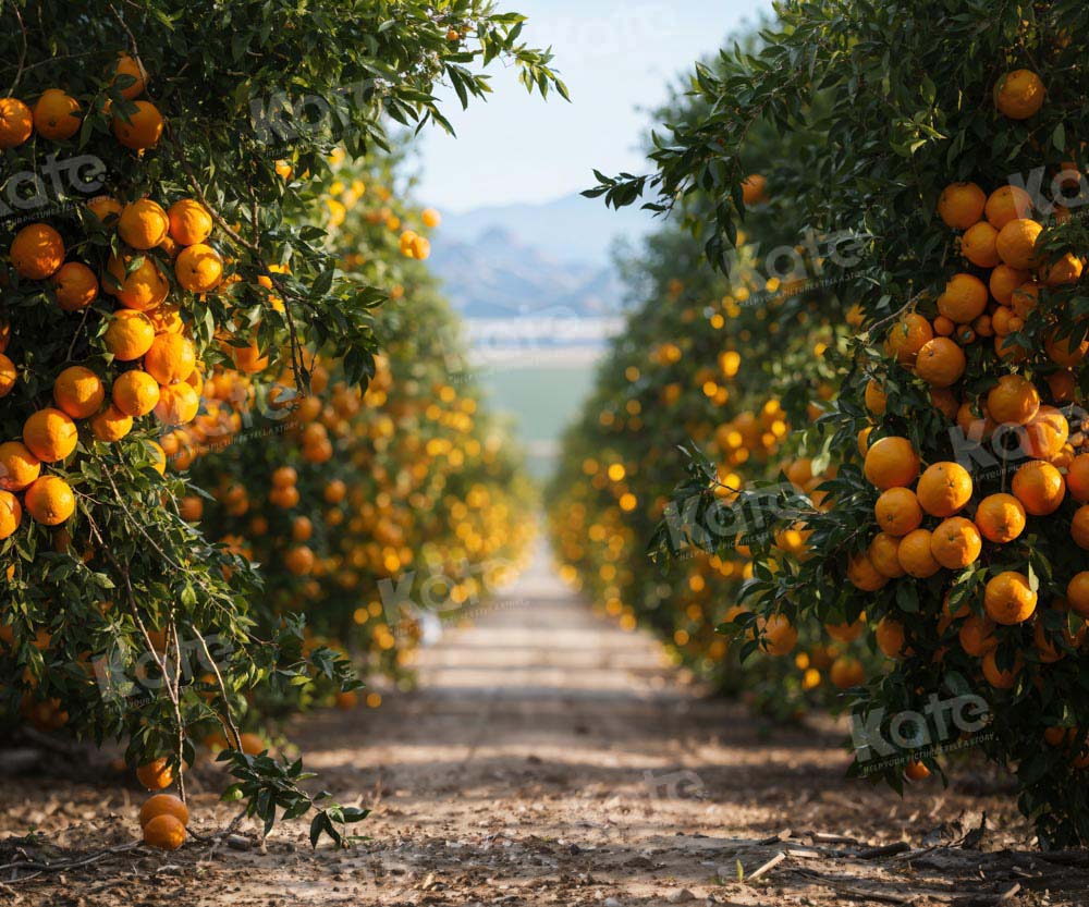Kate Autumn Dirt Path With Orange Orchard Backdrop Designed by Chain Photography