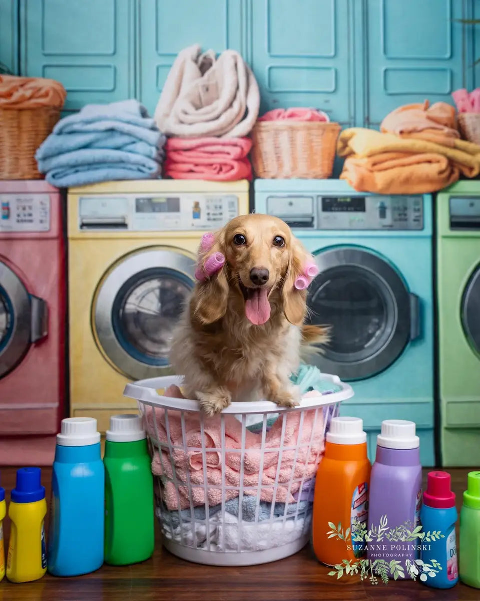 Kate Laundry Day Colorful Washing Machine Spring Backdrop Designed by Chain Photography