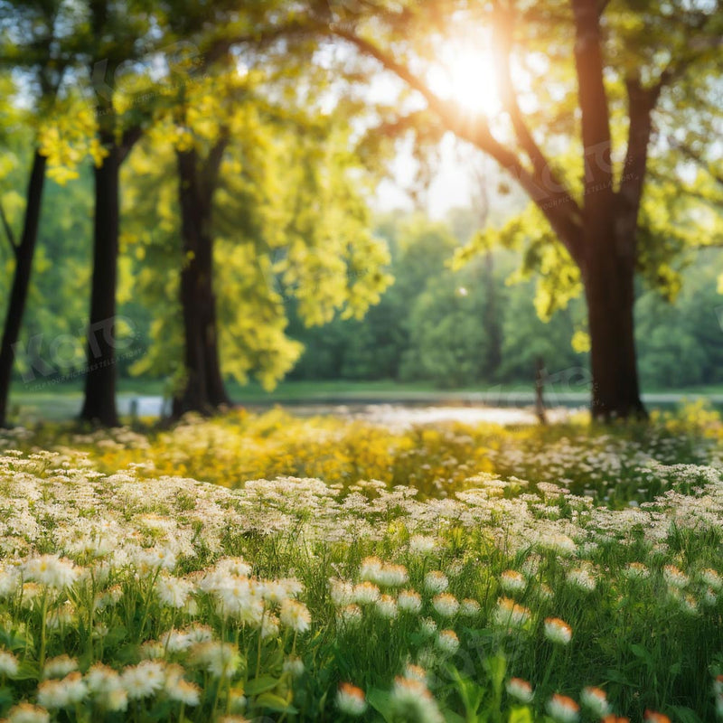 Sunlit Meadow Spring Forest Backdrop