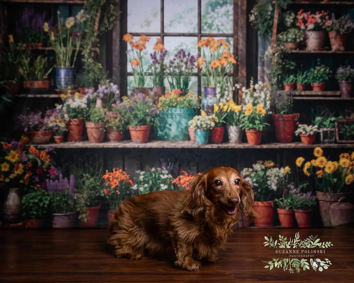 Kate Spring Green Plants Flowers Window Room Backdrop Designed by Chain Photography